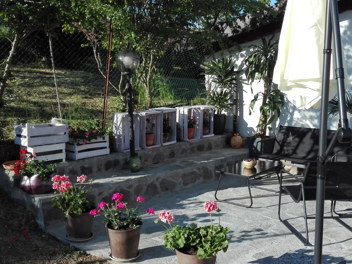 Apartamento La Casa Nel Sole Alessandria Exterior foto